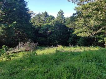 Se vende lote de 4,000m2 en San Jose de la Montaña 25-1371