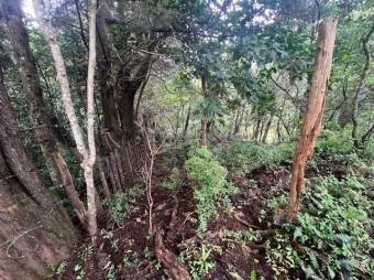 Se vende lote de 4,000m2 en San Jose de la Montaña 25-1371