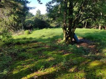 Se vende lote de 4,000m2 en San Jose de la Montaña 25-1371