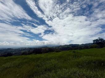 Se vende lote de 3,307m2 en Santo Domingo de Santa Barbara 26-540 Se vende lote de 3,307m2 en Santo Domingo de Santa Barbara 26-540