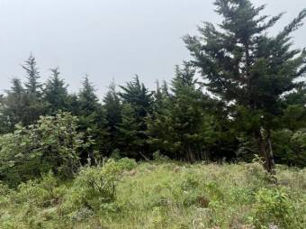 Se vende lote de 3,307m2 en Santo Domingo de Santa Barbara 26-540 Se vende lote de 3,307m2 en Santo Domingo de Santa Barbara 26-540