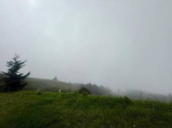 Se vende lote de 3,307m2 en Santo Domingo de Santa Barbara 26-540 Se vende lote de 3,307m2 en Santo Domingo de Santa Barbara 26-540