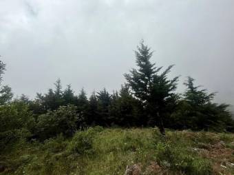 Se vende lote de 3,307m2 en Santo Domingo de Santa Barbara 26-540 Se vende lote de 3,307m2 en Santo Domingo de Santa Barbara 26-540