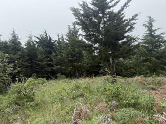 Se vende lote de 3,307m2 en Santo Domingo de Santa Barbara 26-540 Se vende lote de 3,307m2 en Santo Domingo de Santa Barbara 26-540