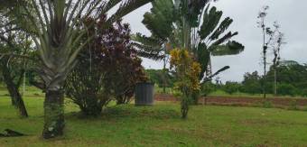 MLS-25-607 LS VENTA QUINTA GUACIMO LIMON