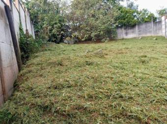 MLS-25-1047 VENTA LOTE TORRE LUNA TURRIALBA MLS-25-1047 VENTA LOTE TORRE LUNA TURRIALBA