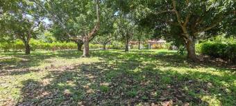 MLS-25-1948 LS VENTA LOTE  OROTINA ALAJUELA