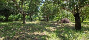 MLS-25-1948 LS VENTA LOTE  OROTINA ALAJUELA