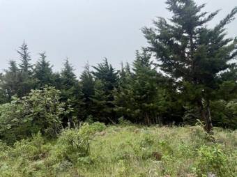 Se vende lote de 3959m2 en Santo Domingo de Santa Barbara 26-539