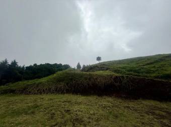 Se vende lote de 3959m2 en Santo Domingo de Santa Barbara 26-539