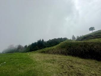 Se vende lote de 3959m2 en Santo Domingo de Santa Barbara 26-539