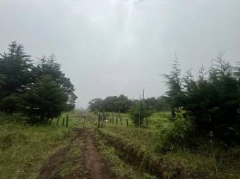 Se vende lote de 3959m2 en Santo Domingo de Santa Barbara 26-539