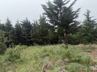 Se vende lote de 4,040m2 en Santo Domingo de Santa Barbara 26-535