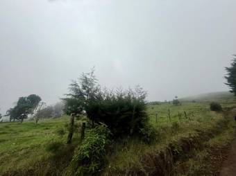 Se vende lote de 4,040m2 en Santo Domingo de Santa Barbara 26-535