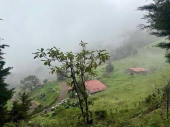 Se vende lote de 4,040m2 en Santo Domingo de Santa Barbara 26-535