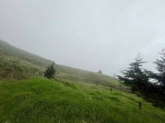 Se vende lote de 4,040m2 en Santo Domingo de Santa Barbara 26-535