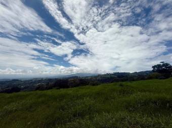 Se vende lote de 4,040m2 en Santo Domingo de Santa Barbara 26-535