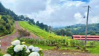 Se vende lote de 3,983m2 en Santo domingo de Santa Barbara 26-536