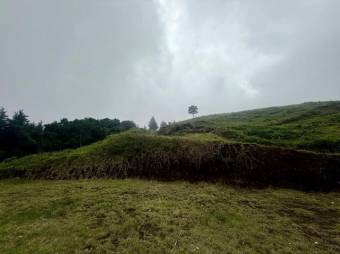 Se vende lote de 3,983m2 en Santo domingo de Santa Barbara 26-536