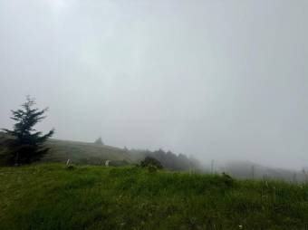 Se vende lote de 3,983m2 en Santo domingo de Santa Barbara 26-536