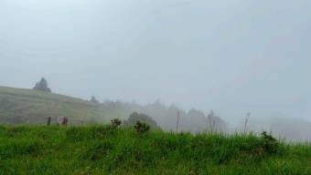 Se vende lote de 3,983m2 en Santo domingo de Santa Barbara 26-536