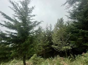 Se vende lote de 3,983m2 en Santo domingo de Santa Barbara 26-536