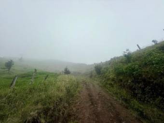 Se vende lote de 3,983m2 en Santo domingo de Santa Barbara 26-536