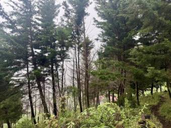 Se vende lote de 3,983m2 en Santo domingo de Santa Barbara 26-536