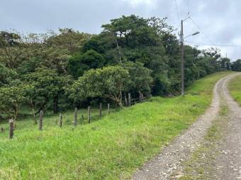 MLS-26-19 LS VENTA LOTE PALMITAL PUNTARENAS