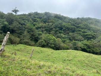 MLS-26-19 LS VENTA LOTE PALMITAL PUNTARENAS