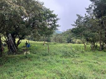 MLS-26-19 LS VENTA LOTE PALMITAL PUNTARENAS