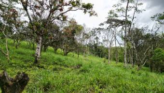 Farm With Site To Build, Internal Road, Cabin, Ravine, Utilities, Views