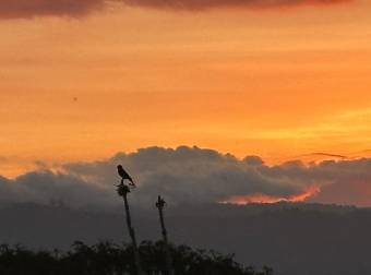 Farm With Site To Build, Internal Road, Cabin, Ravine, Utilities, Views