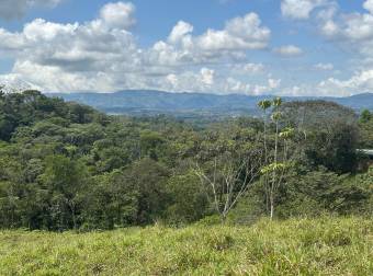 Farm With Site To Build, Internal Road, Cabin, Ravine, Utilities, Views