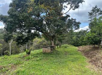 Farm With Site To Build, Internal Road, Cabin, Ravine, Utilities, Views