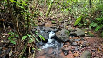 Farm With Site To Build, Internal Road, Cabin, Ravine, Utilities, Views