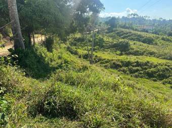 Farm With Site To Build, Internal Road, Cabin, Ravine, Utilities, Views