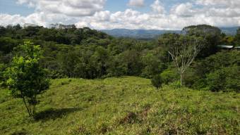 Farm With Site To Build, Internal Road, Cabin, Ravine, Utilities, Views