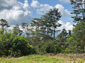 Farm With Site To Build, Internal Road, Cabin, Ravine, Utilities, Views