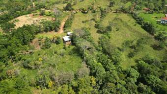 Farm With Site To Build, Internal Road, Cabin, Ravine, Utilities, Views