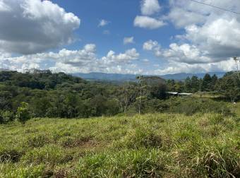 Farm With Site To Build, Internal Road, Cabin, Ravine, Utilities, Views