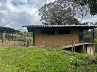 Farm With Site To Build, Internal Road, Cabin, Ravine, Utilities, Views