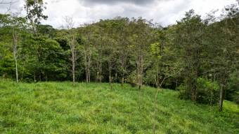 Farm With Site To Build, Internal Road, Cabin, Ravine, Utilities, Views