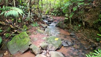 Farm With Site To Build, Internal Road, Cabin, Ravine, Utilities, Views