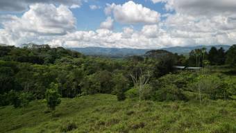 Farm With Site To Build, Internal Road, Cabin, Ravine, Utilities, Views