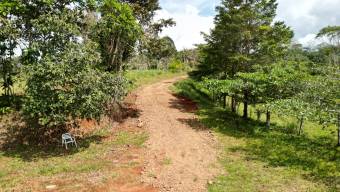 Farm With Site To Build, Internal Road, Cabin, Ravine, Utilities, Views