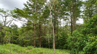 Farm With Site To Build, Internal Road, Cabin, Ravine, Utilities, Views