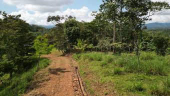 Farm With Site To Build, Internal Road, Cabin, Ravine, Utilities, Views