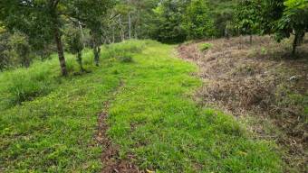 Farm With Site To Build, Internal Road, Cabin, Ravine, Utilities, Views