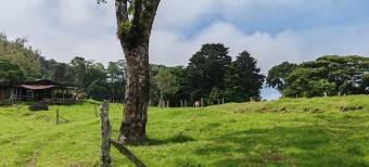 MLS-26-682 LS VENTA FINCA BARVA HEREDIA